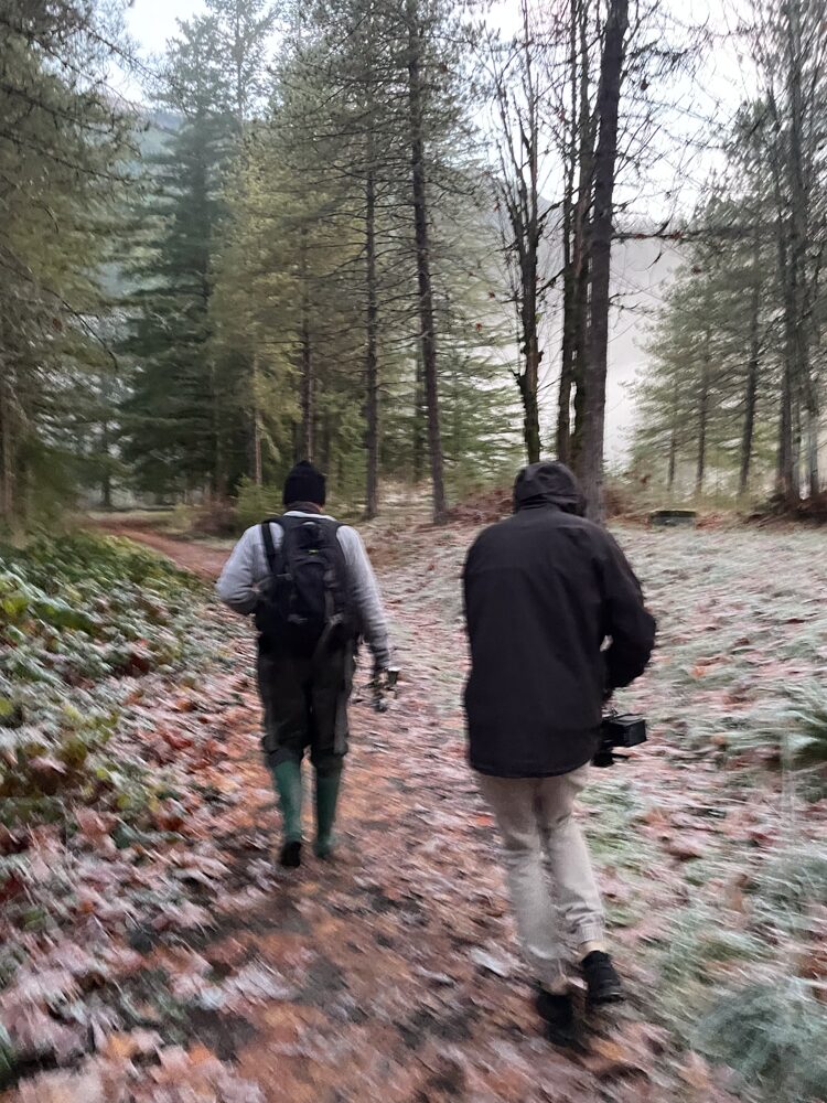Two people hiking on a forest trail with trees and fallen leaves.