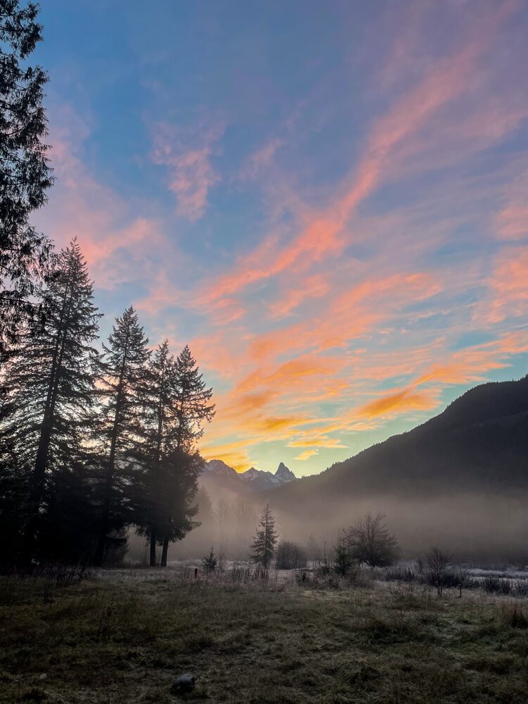 Sunset over a misty mountain valley with tall pine trees and colorful sky with pink and blue clouds.